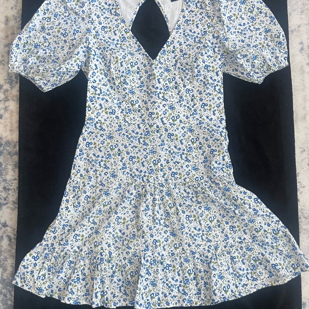French Connection Floral Blue and White Dress